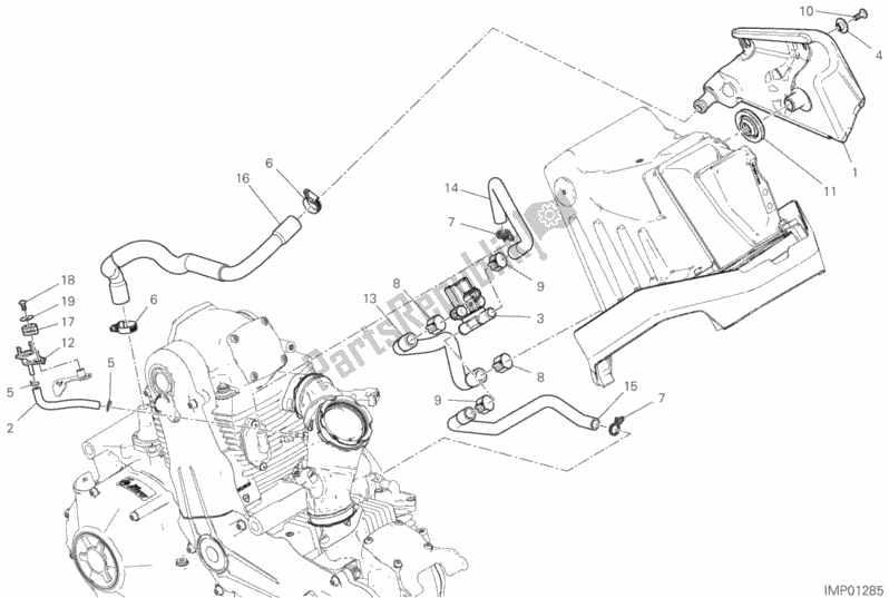 All parts for the Secondary Air System of the Ducati Scrambler 1100 PRO 2020